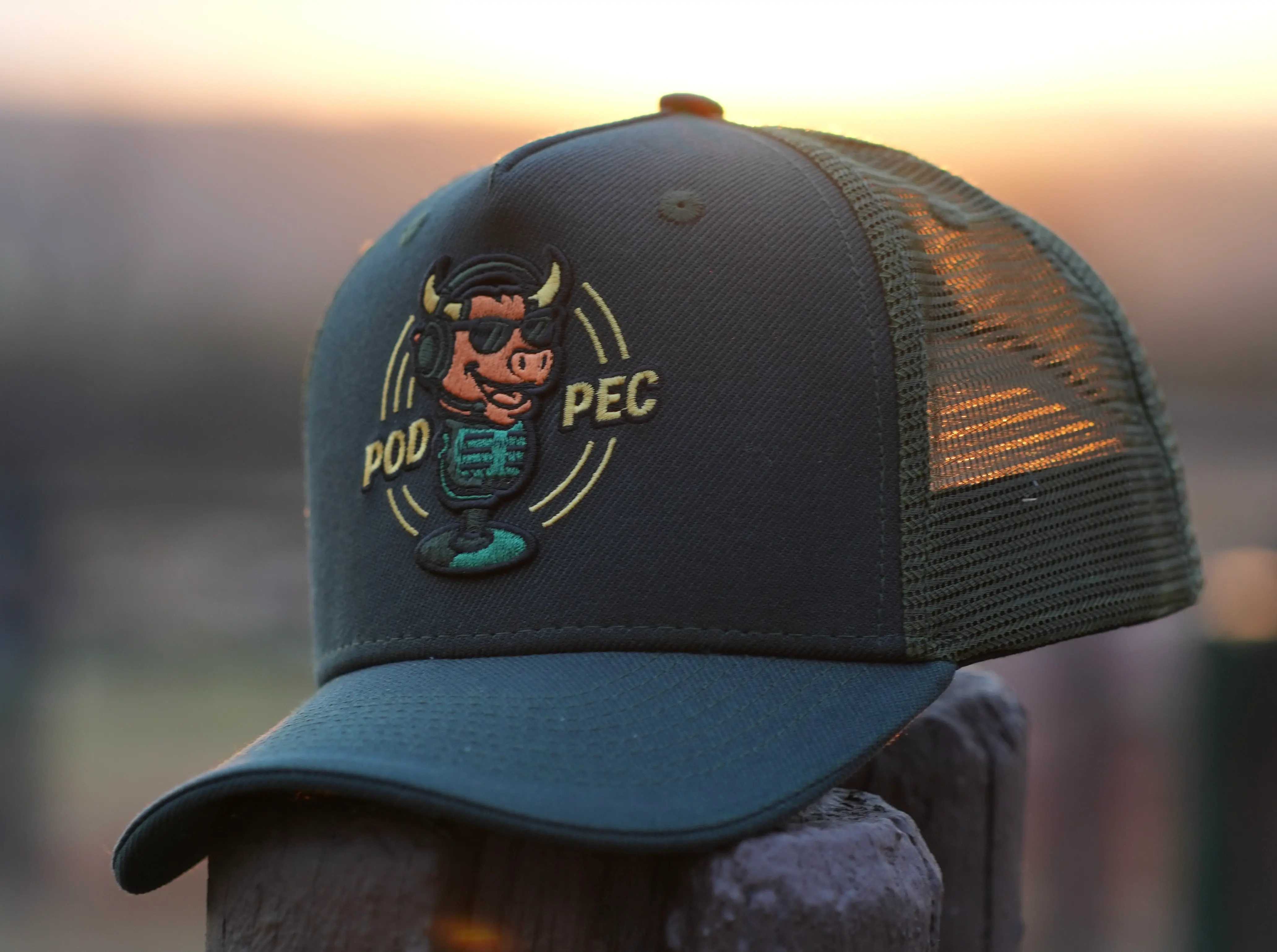 Pod Pec host with cattle and podcast setup