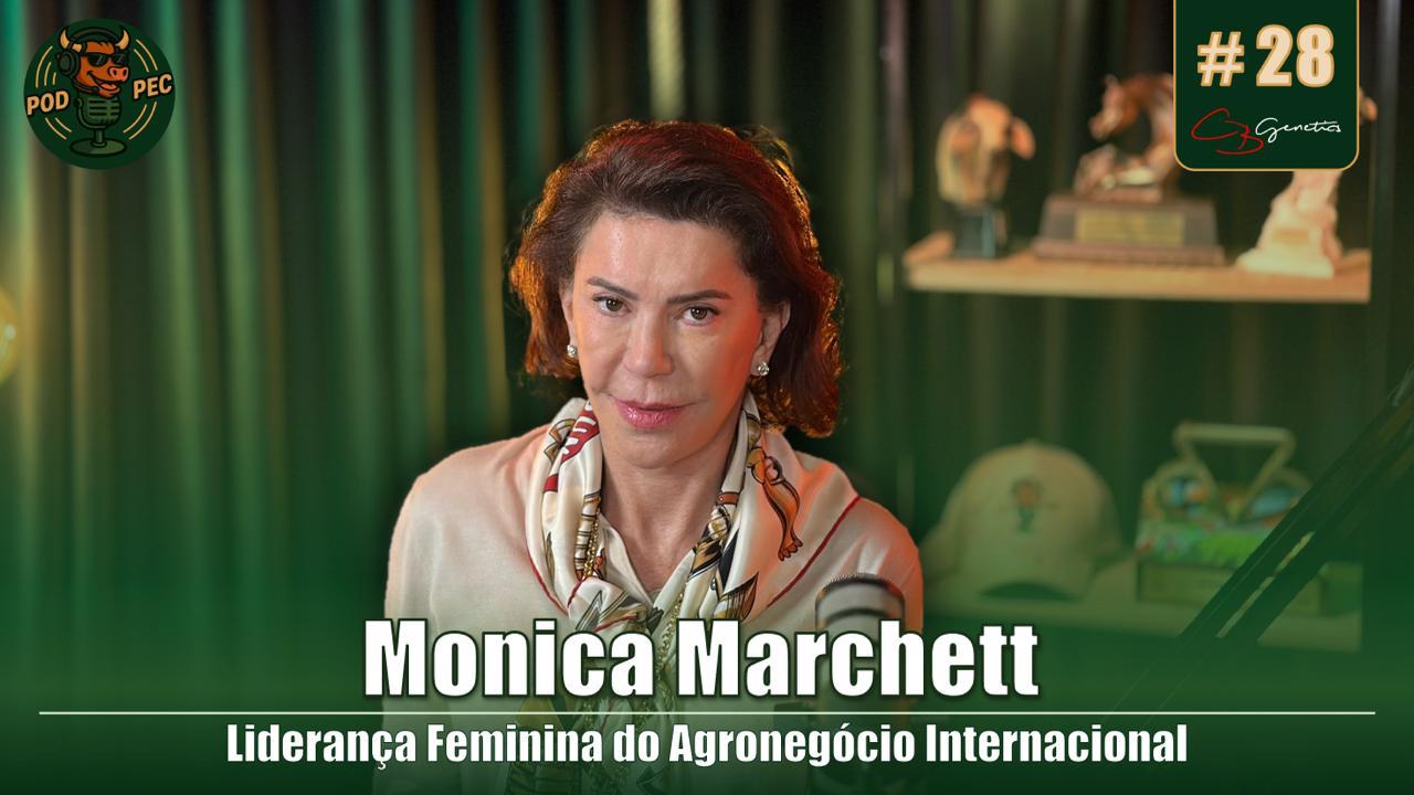 Uma história junto ao Mangalarga Marchador